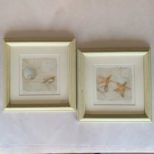 Framed Prints- Shells 2 & Shells 3 by Judy Mandolf